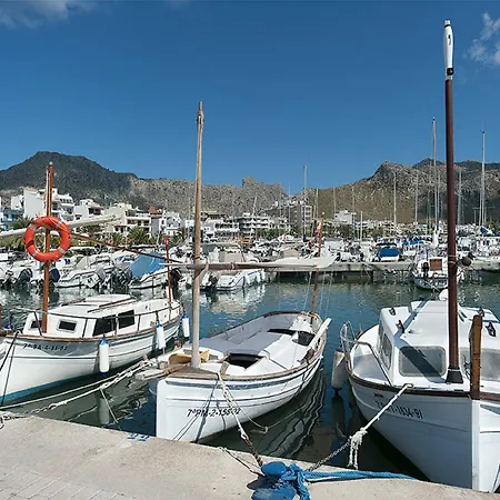 Owl Padrina - Walking To The Old Town *