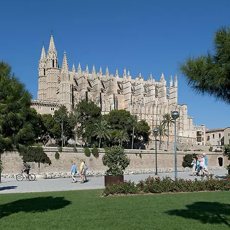 Owl Padrina - Walking To The Old Town Pollença
