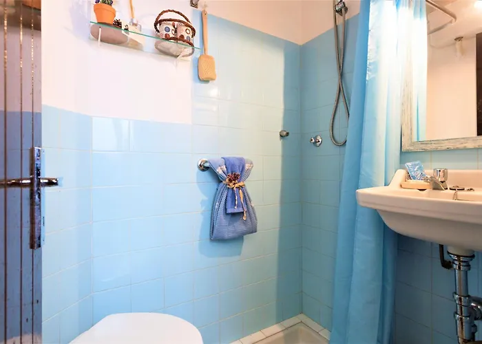 Owl Padrina - Walking To The Old Town Pollensa