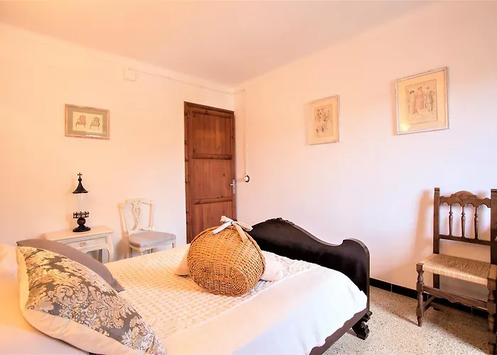 Owl Padrina - Walking To The Old Town Dom wakacyjny