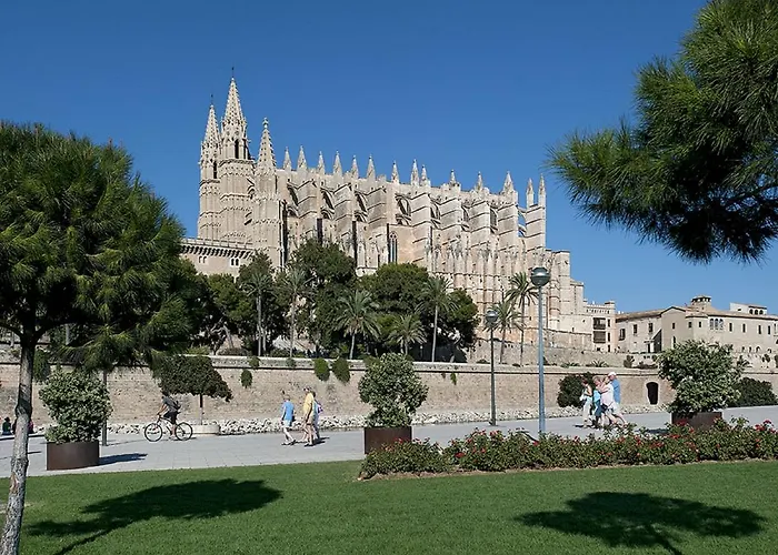 Owl Padrina - Walking To The Old Town Pollensa