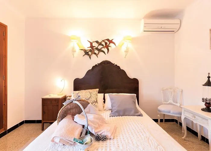 Owl Padrina - Walking To The Old Town * Pollença