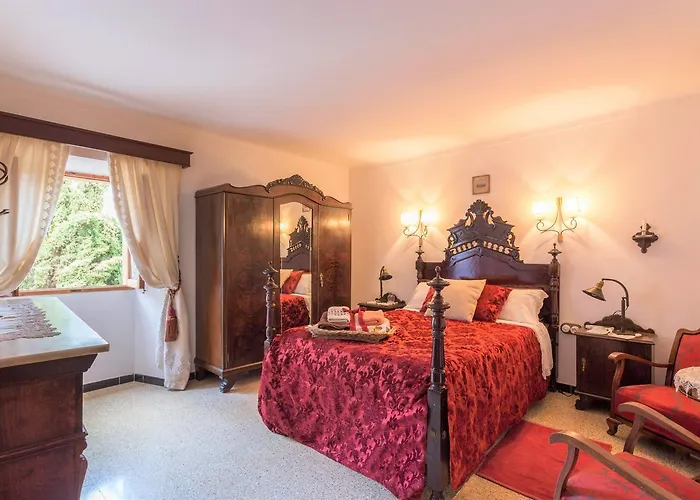 Owl Padrina - Walking To The Old Town * Pollença